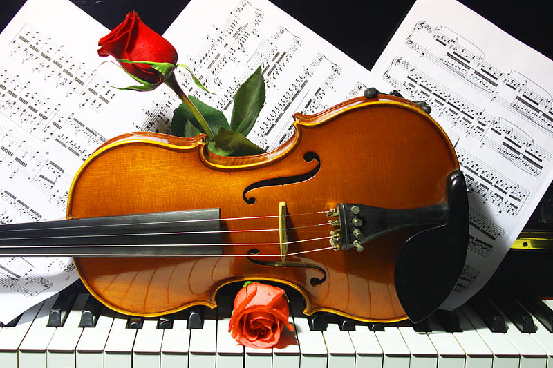 Symphony of love, red roses, violin, graphy, music, love, bonito, roses ...