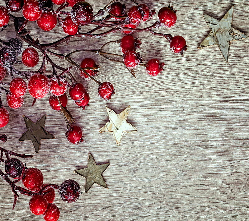 Christmas Decoration, berries, christmas, decoration, merry, wood, HD wallpaper
