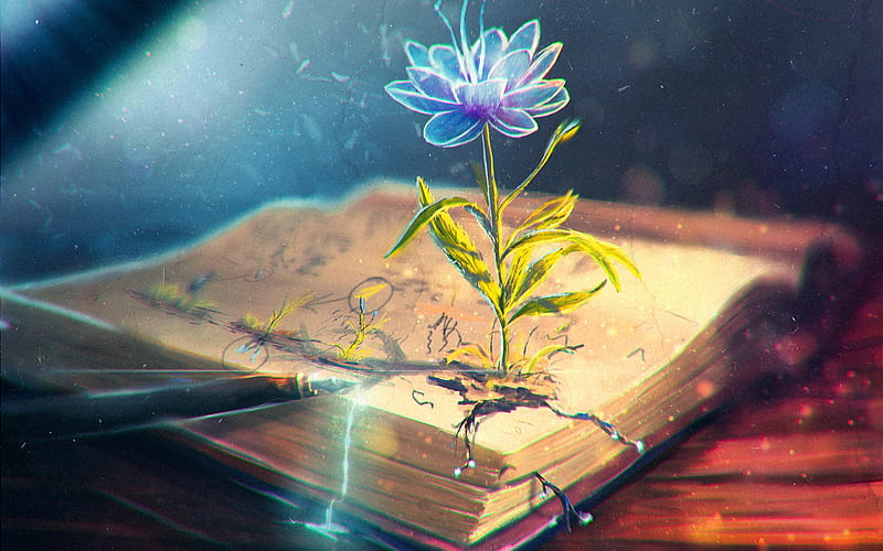 flower bloom on book, petals, creative design, Fantasy, HD wallpaper