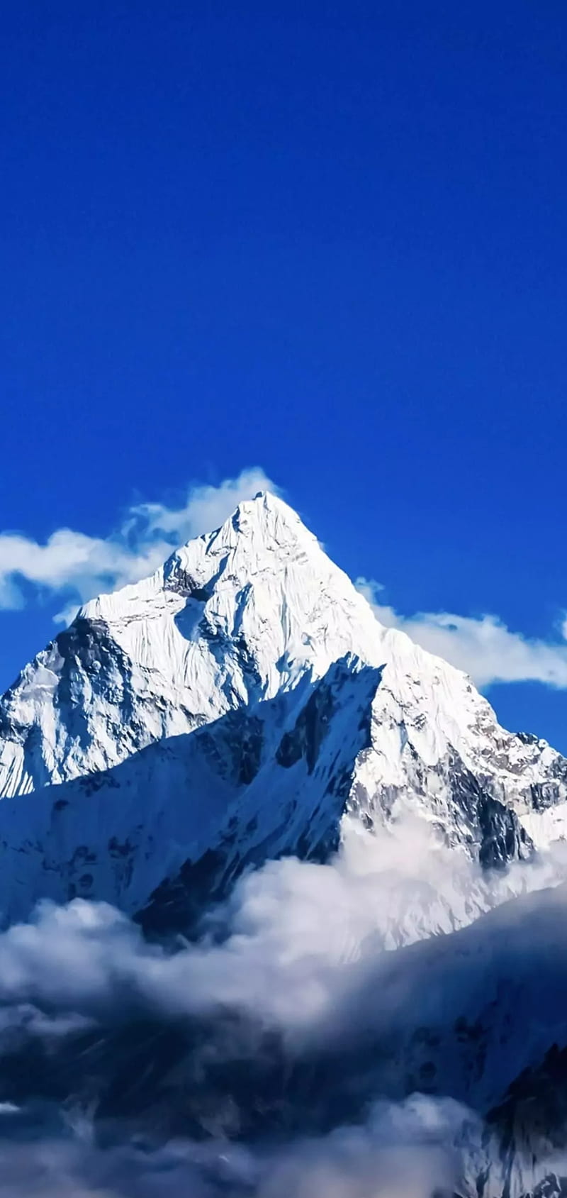 Himalayas, arctic, himalayan range, mountains, nature, snow, snow mountains, winter, HD phone wallpaper