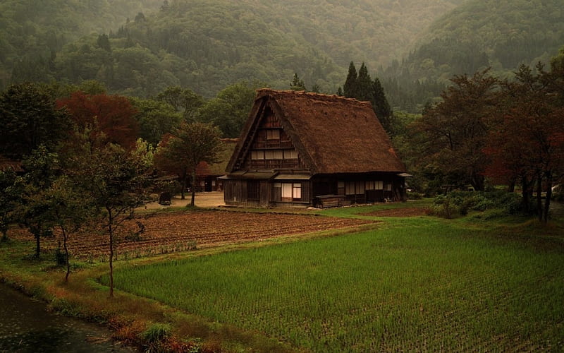 Japanese House, Japonez, frumos, un sat, traditional, HD wallpaper