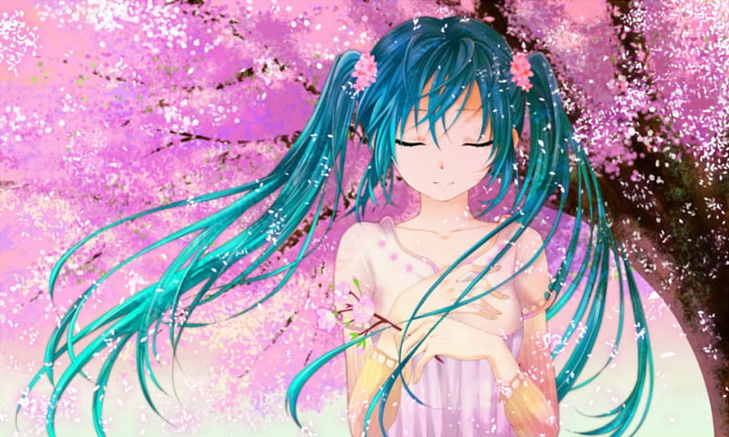 Spring, pretty, hatsune miku, bonito, floral, sweet, blossom, nice ...