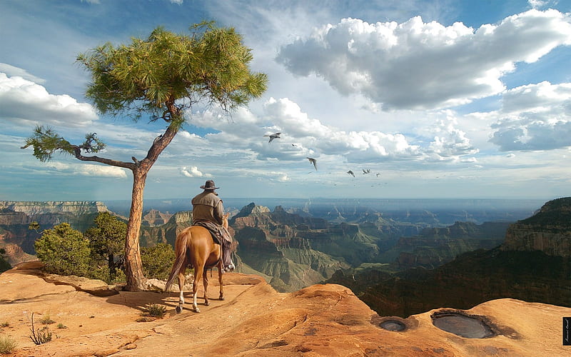 Cowboy's View of Nature, Clouds, Cowboy, Valley, Birds, Geese, Sky, Canyon, Saddle, Trees, Horse, Haze, HD wallpaper