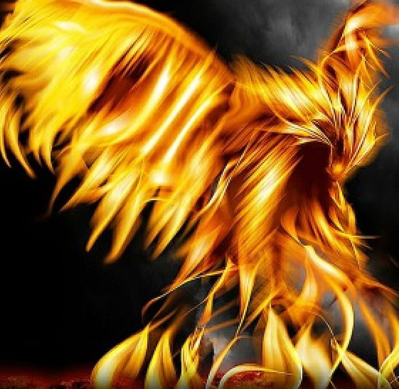 Phoenix, fire, fantasy, flames, dark, HD wallpaper | Peakpx