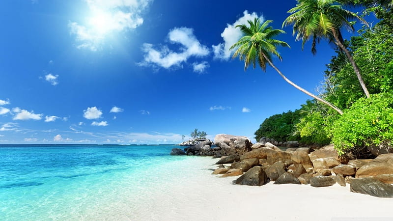 Paradise beach, sun, shine, palm, clouds, sea, beach, tropic, light, blue, exotic, ocean, sunlight, sunhine, sky, tree, water, summer, nature, cans, scene, landscape, coast, HD wallpaper