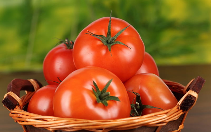 Tomato, fruit, red, vegetable, omato, HD wallpaper