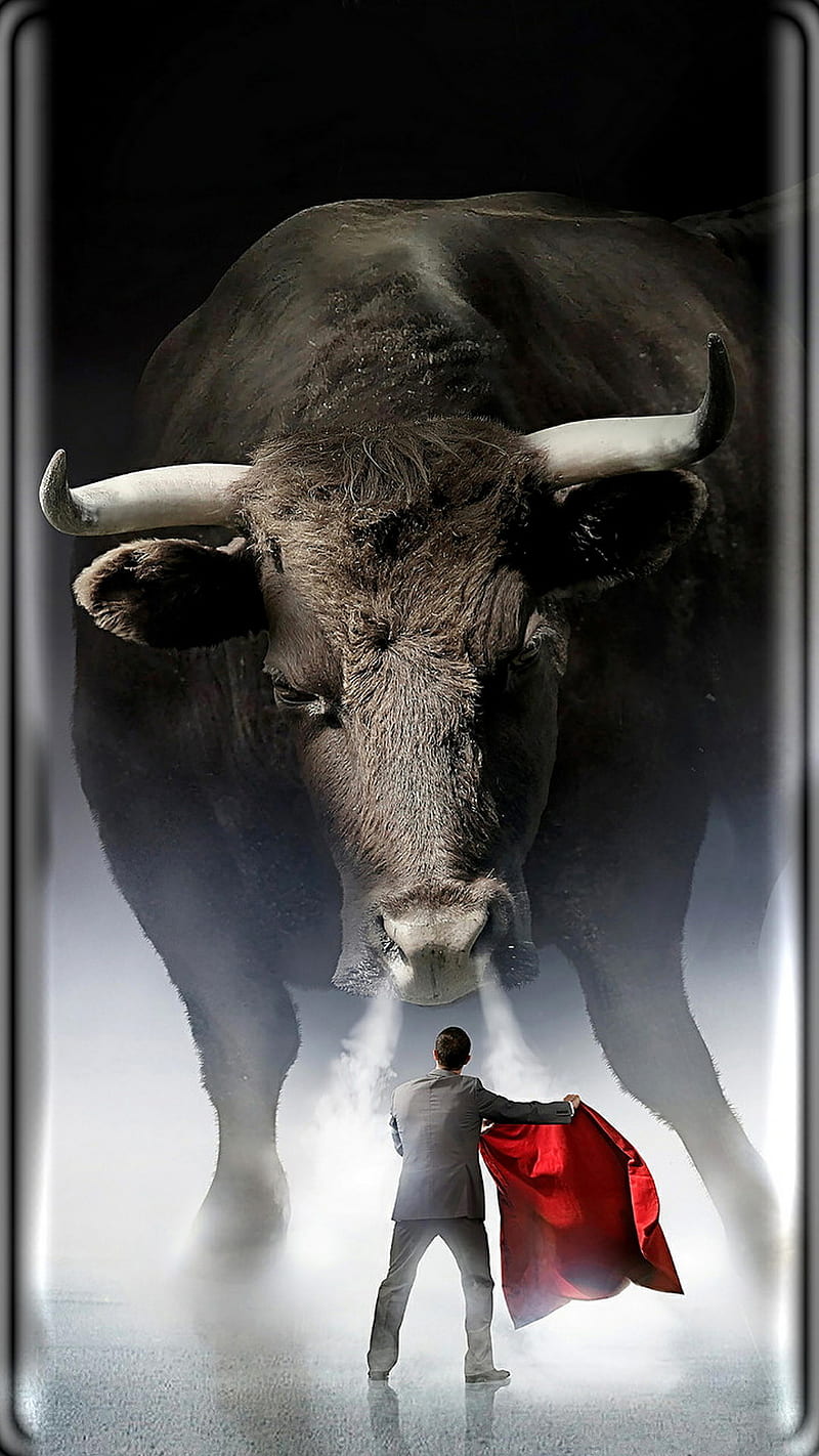 Bull, bulls, red, farm, bullfighter, toreador, cool, spain background, HD phone wallpaper