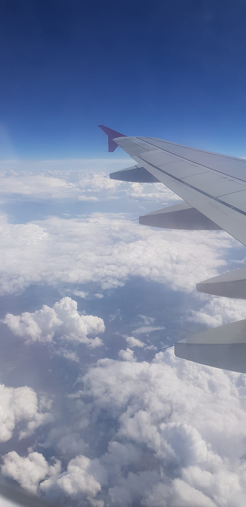 Plane view, aeroplane, blue, clouds, sky, HD phone wallpaper | Peakpx