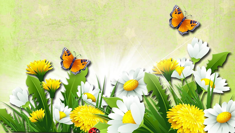 Summer, daisies, fresh, dandelions, chamomile, weeds, spring, butterflies, HD wallpaper