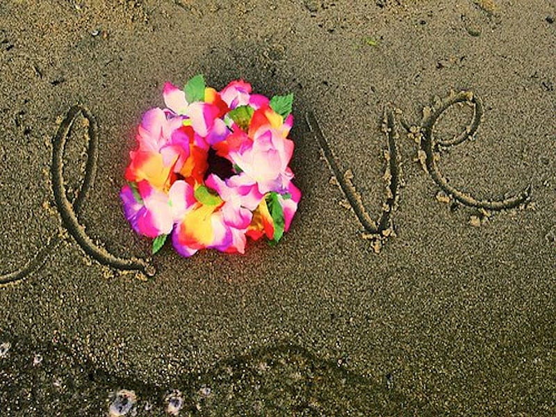 Love on the Beach, sand, written, romantic, romance, love, words, flowers, tropical, HD wallpaper