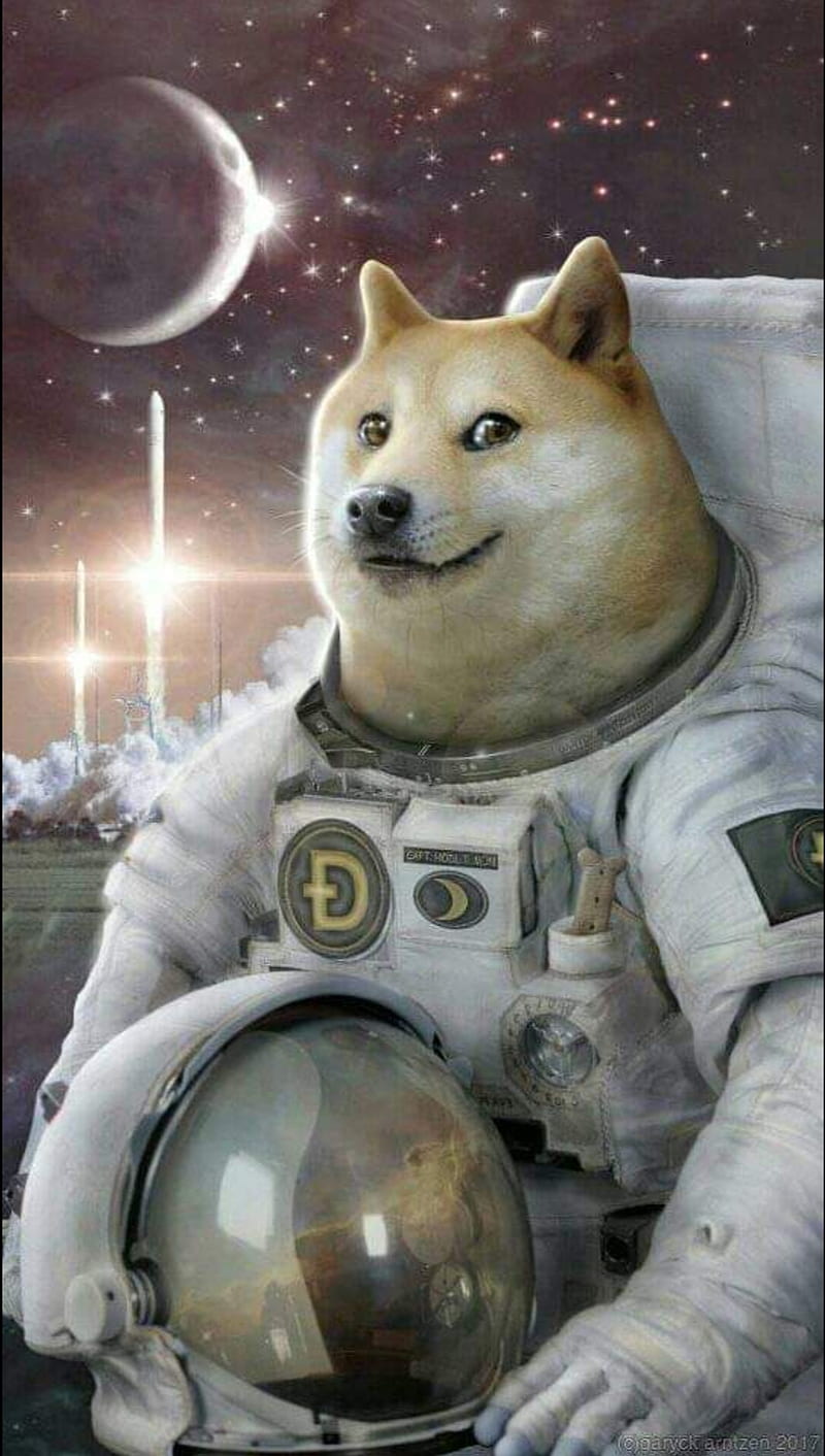 Doge Astronaut, HD phone wallpaper