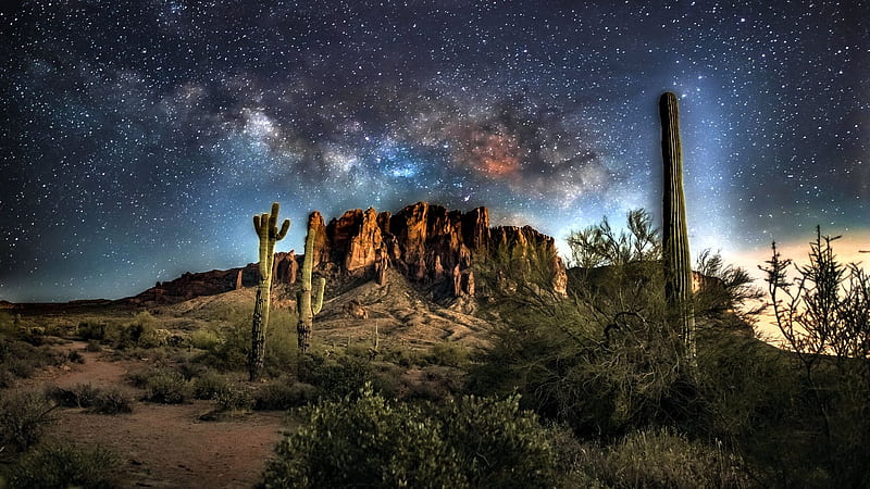 Lost Dutchmen State Park, Arizona, cactuses, stars, rocks, desert, usa, milky way, trees, HD wallpaper