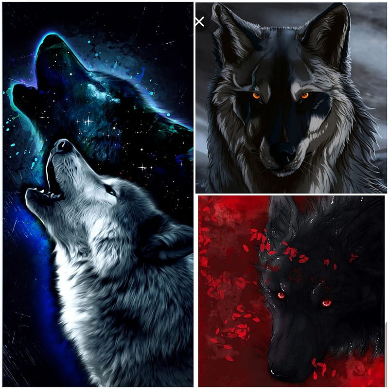 Волков про телефон. Волк обои. Фотообои волк. Сумеречный волк. Волк арт.
