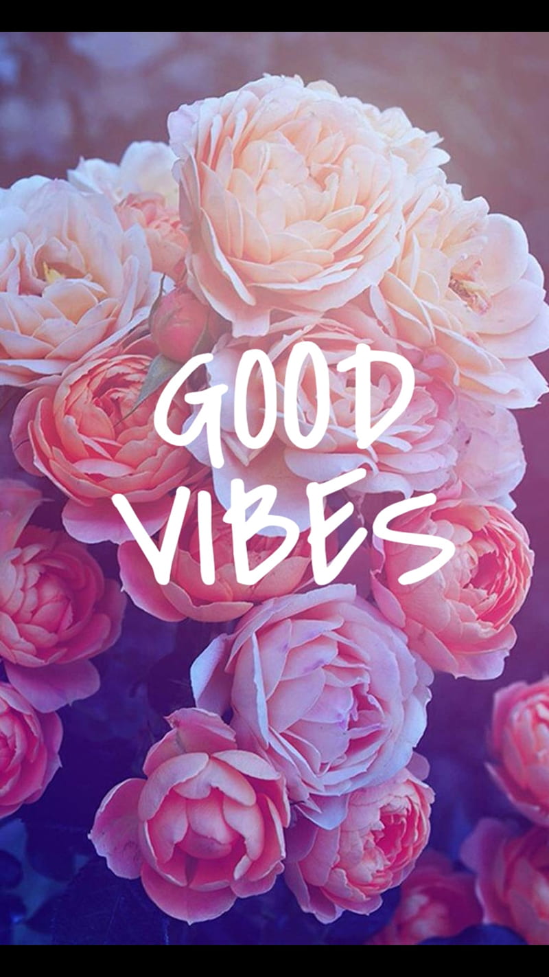 Good Vibes, logo, pink, roses, HD phone wallpaper