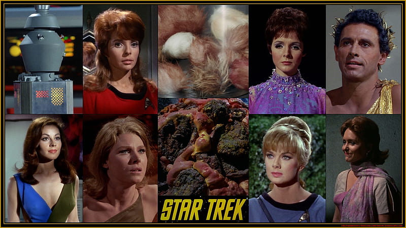 Star Trek, Andrea, Tribbles, Horta, Original Series, HD wallpaper