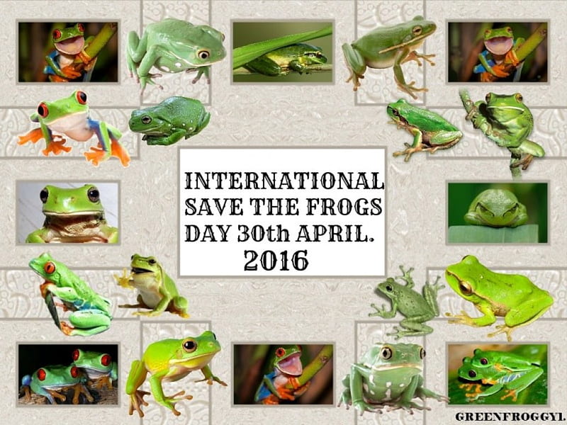 INTERNATIONAL SAVE THE FROGS DAY, FROGS, CREATION, ABSTRACT, HD