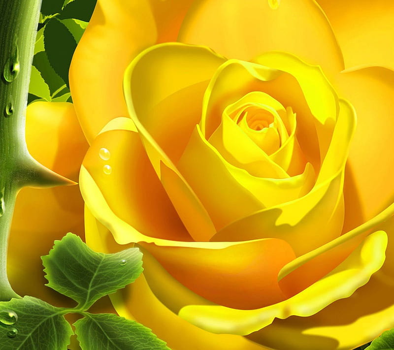 Rose , i love you, i miss you, leaf, love, yellow, yellow rose, HD wallpaper