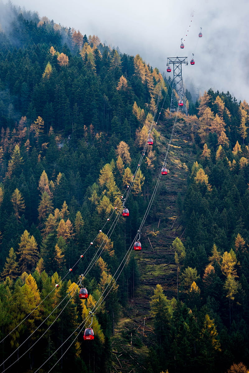 cable car, cabins, forest, trees, HD phone wallpaper
