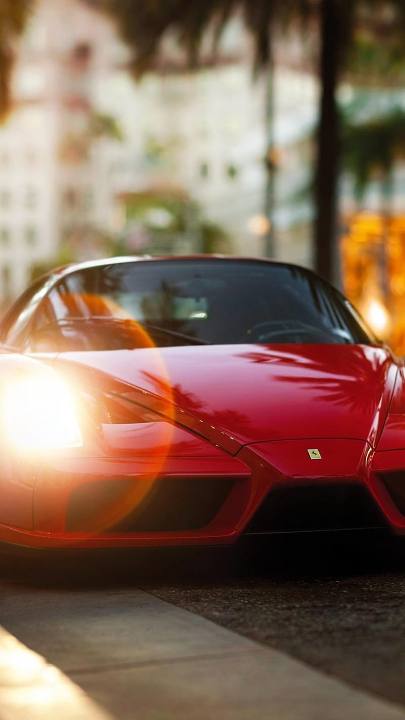 Ferrari Enzo Ferari, car, carros, HD phone wallpaper