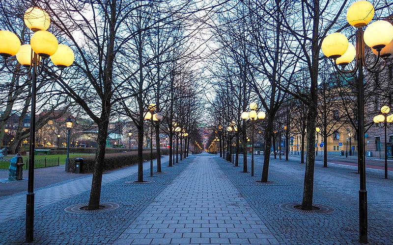 Street in Stockholm, Sweden, tree alley, street, Stockholm, lights, HD wallpaper