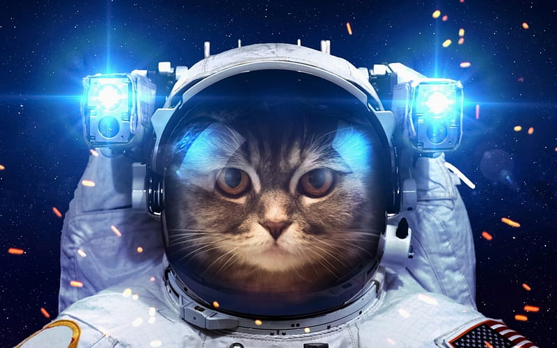 Cosmocat, cosmonaut, cat, creative, situation, animal, fantasy, kitten, blue, HD wallpaper