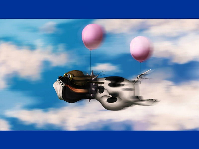 Flying dog, ballon, flying, fun, funny, dog, HD wallpaper