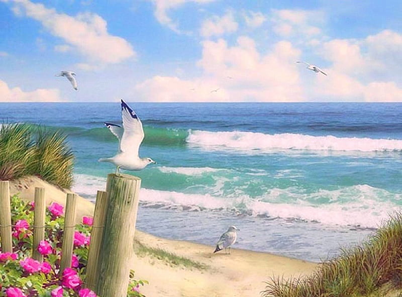 Endless Seas, love four seasons, birds, attractions in dreams, sky, clouds, sea, paradise, beaches, summer, flowers, seaside, nature, HD wallpaper