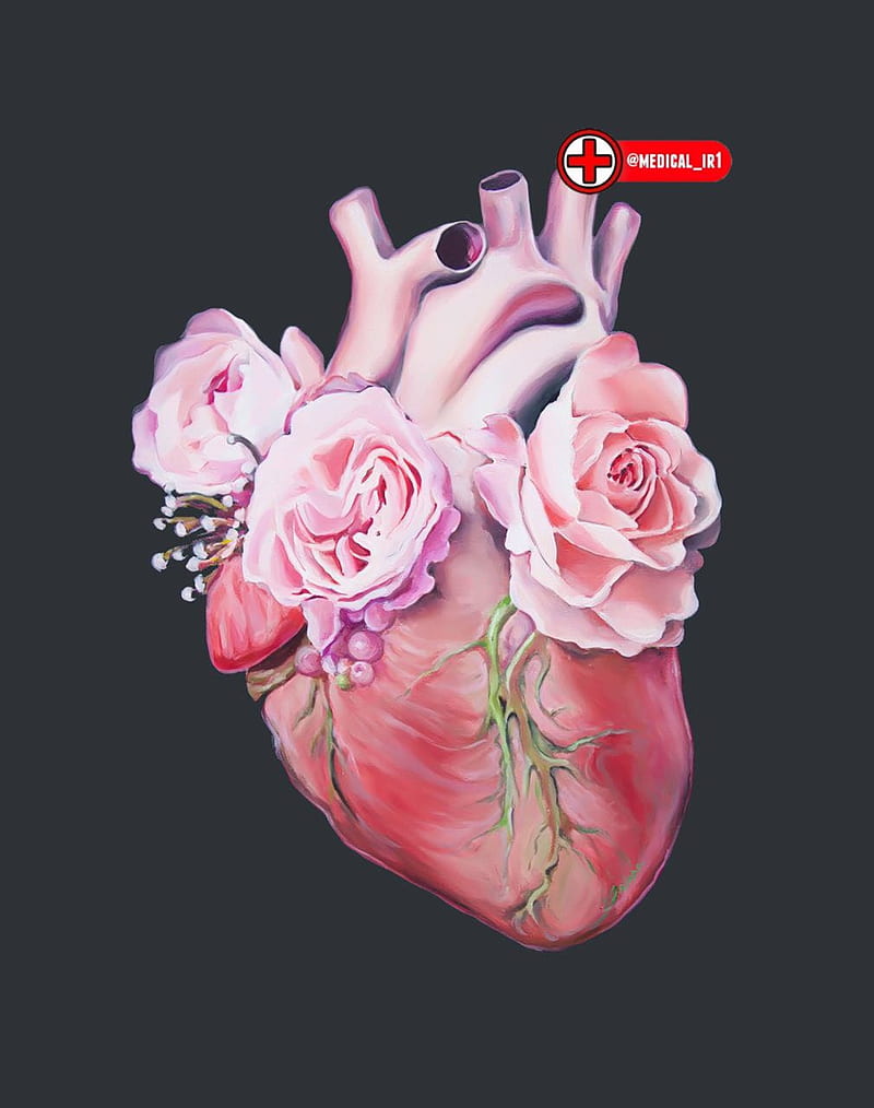 Heart, flower, flowers, iran, love, lovely, med, medical, my heart, HD phone  wallpaper | Peakpx