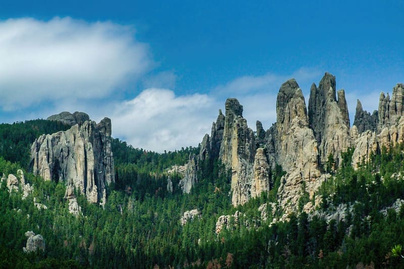Cathedral Spires From The Needles Highway In Custer State Park, nature, HD wallpaper