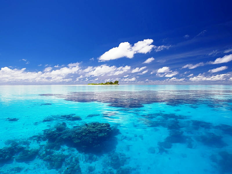 Arrecifes azules del paraíso, rocas, pescado, arrecifes, bonito, nubes,  mar, Fondo de pantalla HD | Peakpx