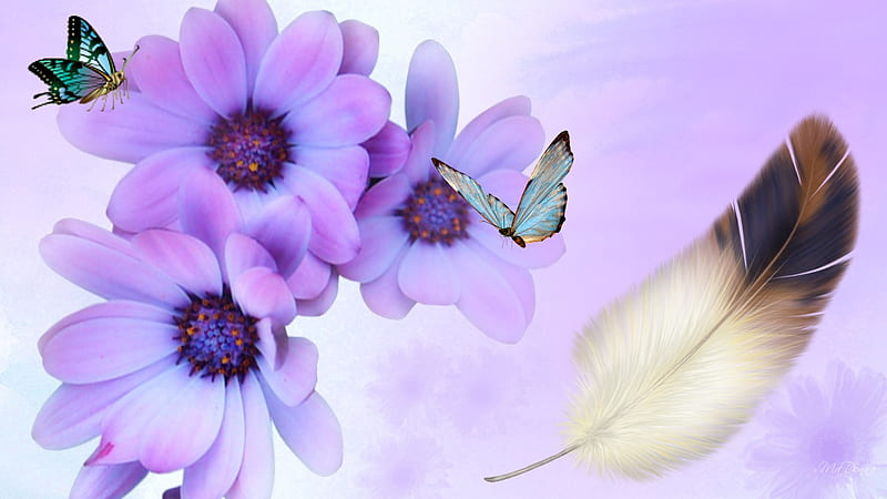 Wonder of Lavender, lilac, firefox persona, butterflies, spring, lavender, butterfly, purple, feather, summer, flowers, HD wallpaper
