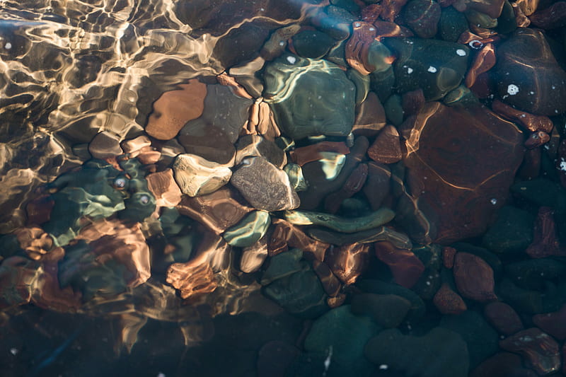 stones, water, ripples, distortion, HD wallpaper
