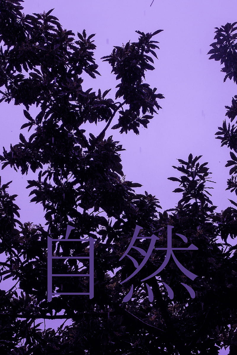 Lo-fi vibes, chill, chinese, japanese, kanji, lofi, nature, purple, sad, vaporwave, HD phone wallpaper