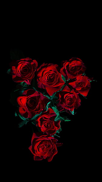 flowers, roses, bouquet, black, HD phone wallpaper