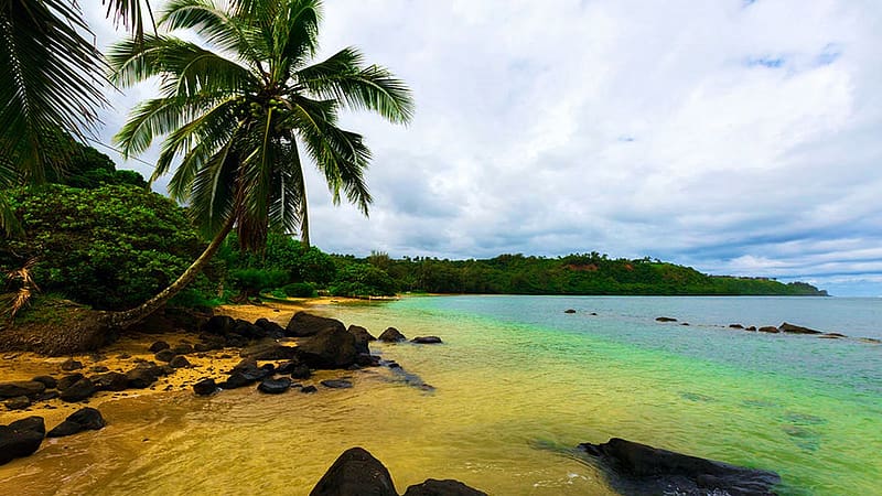 Anini Beach Kauai, Hawaii, rocks, stones, sea, palm tree, clouds, sky, usa, HD wallpaper