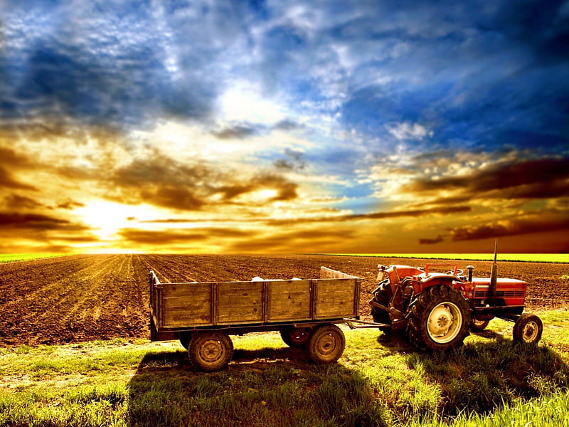 Sunrise in the country, farm field, wagon, farm tractor, sunrise, clouds, HD wallpaper