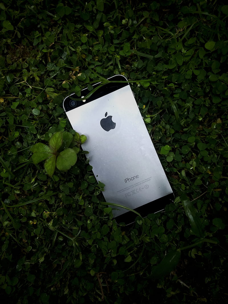 iPhone 5s, best , iphone, HD phone wallpaper