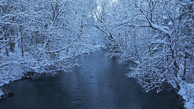 Post Snowstorm in Central NY, water, usa, river, trees, branches, ice, snow, HD wallpaper