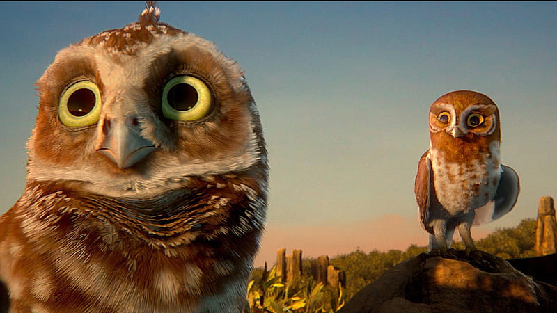 Legend of the Guardians-The Owls of GaHoole movie 25, HD wallpaper