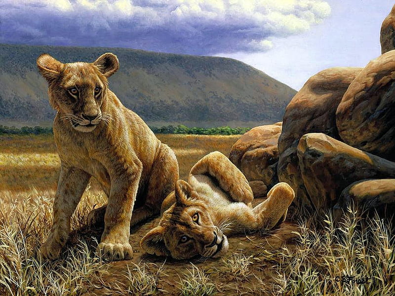 Double Trouble, stones, painting, cubs, artwork, lions, HD wallpaper