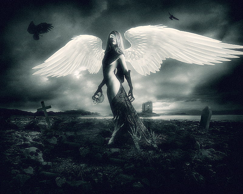 Angel of death 1080P, 2K, 4K, 5K HD wallpapers free download