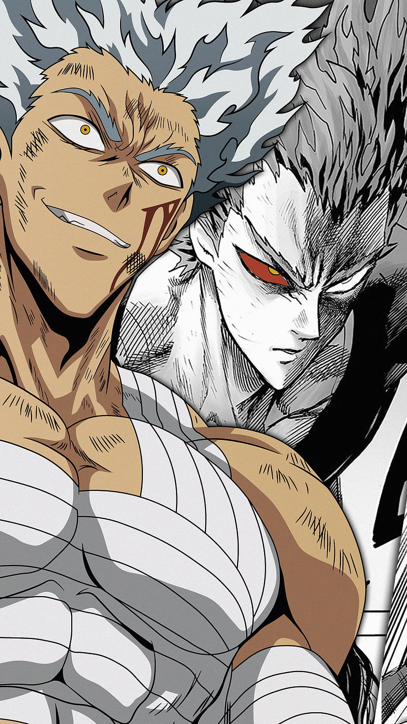 Garou One Punch Man 4K Wallpaper 6804