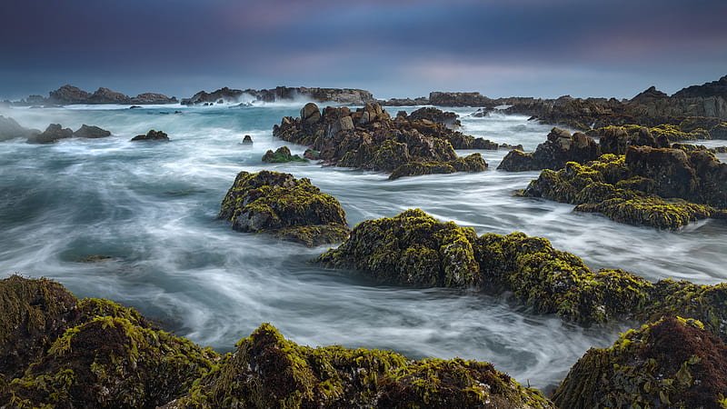 California Coast Monterey Bay Pacific Ocean Under Cloudy Sky Nature, HD wallpaper