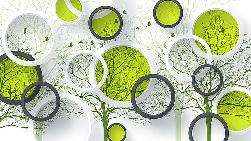 Green White Circle Art Birds Tree Branches Abstraction Abstract, HD wallpaper