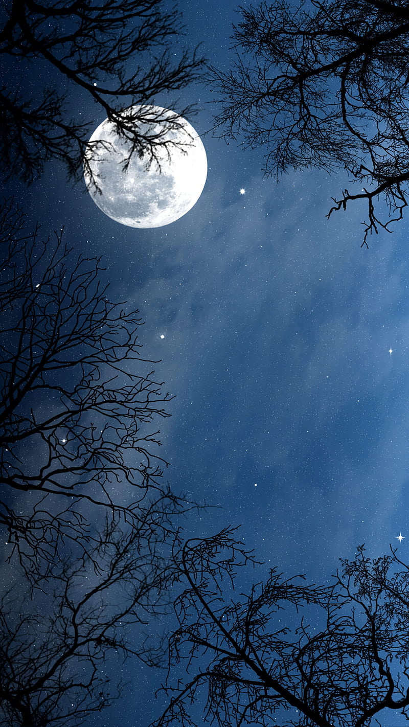 moon, lune, night, nuit, HD phone wallpaper