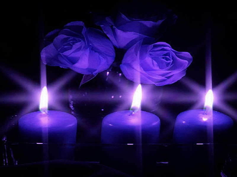 Candlelight blues, flames, black background, three, roses, blue, candles, soft glow, HD wallpaper