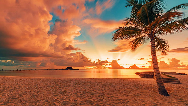 Maldives, Indian Ocean, sky, coast, sea, island, palm tree, clouds, HD wallpaper
