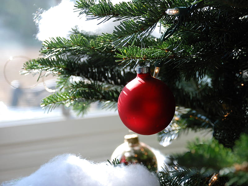 720P free download | Xmas tree, holidays, christmas, trees, xmas, HD