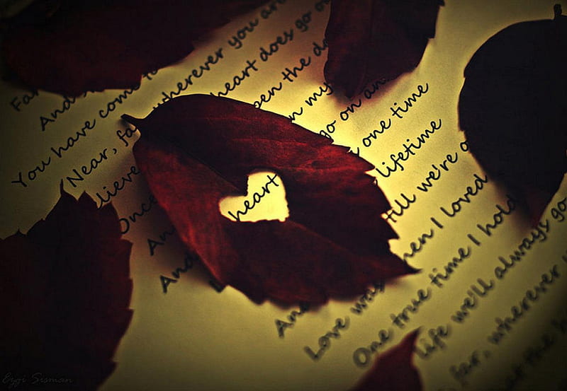 My Heart Will Go On, cute, text, heart, book, leaf, HD wallpaper