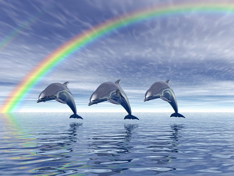 Dolphins with Rainbow, rainbow, dolphins, dolphins-with-rainbow, dolphin rainbow, HD wallpaper